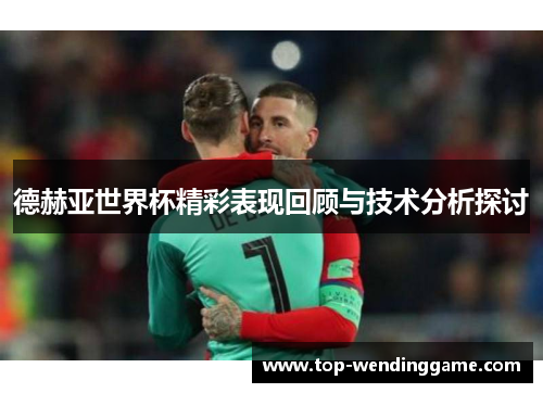 德赫亚世界杯精彩表现回顾与技术分析探讨
