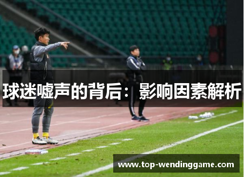 球迷嘘声的背后：影响因素解析